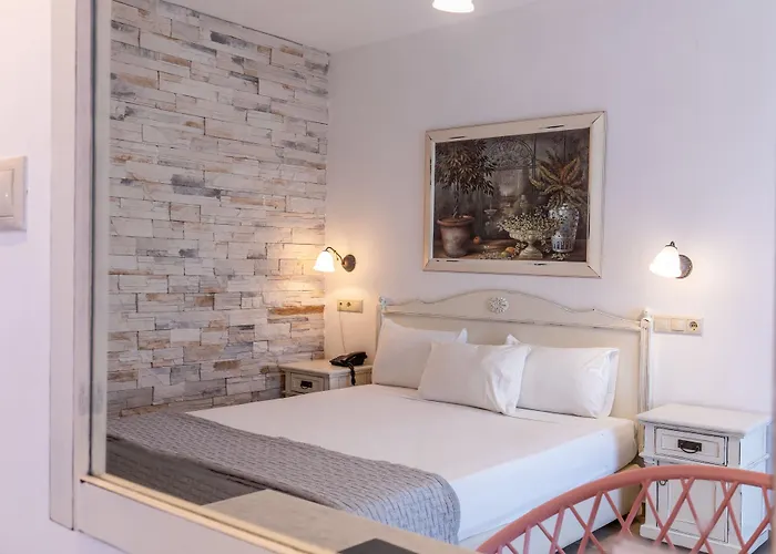 普拉萨海滩酒店 3* Pláka