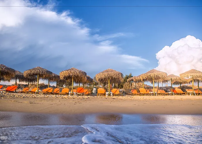 普拉萨海滩酒店 Pláka