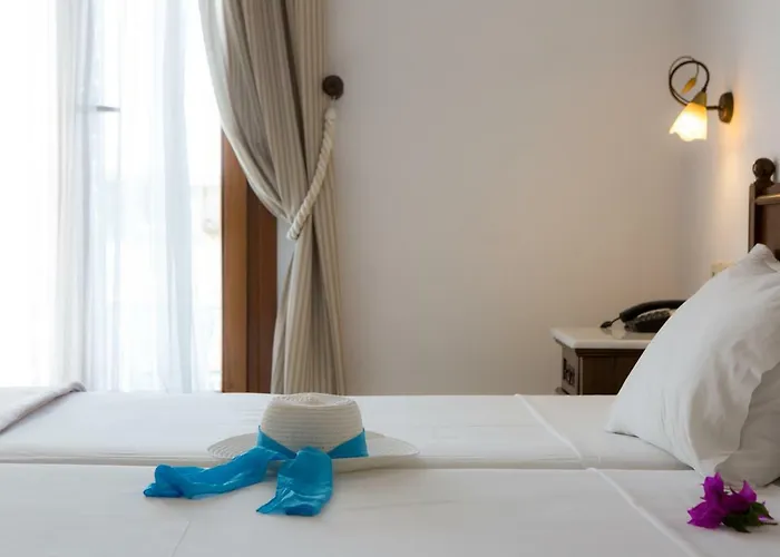 普拉萨海滩酒店 3* Pláka